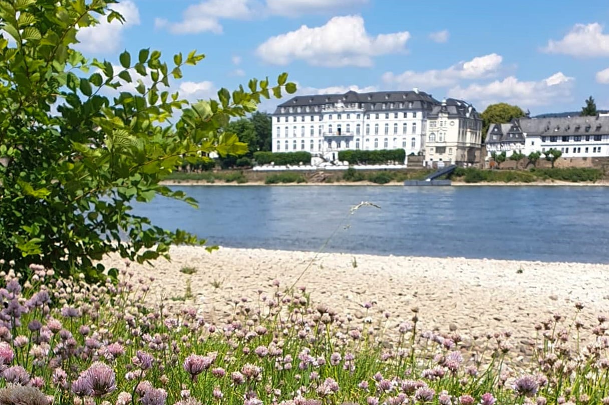 arrangement-rhein-romantik