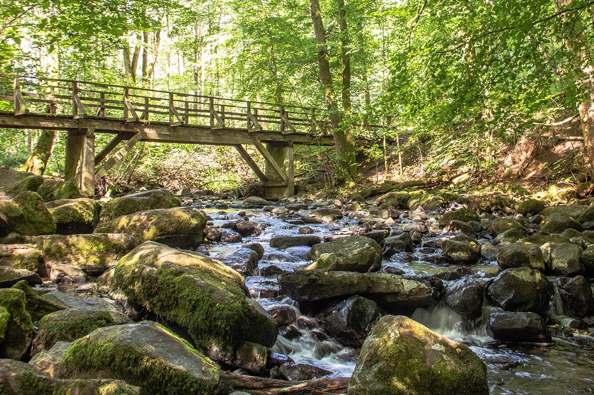 impressionen-region-natur